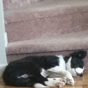 Meet your Posher, Kat